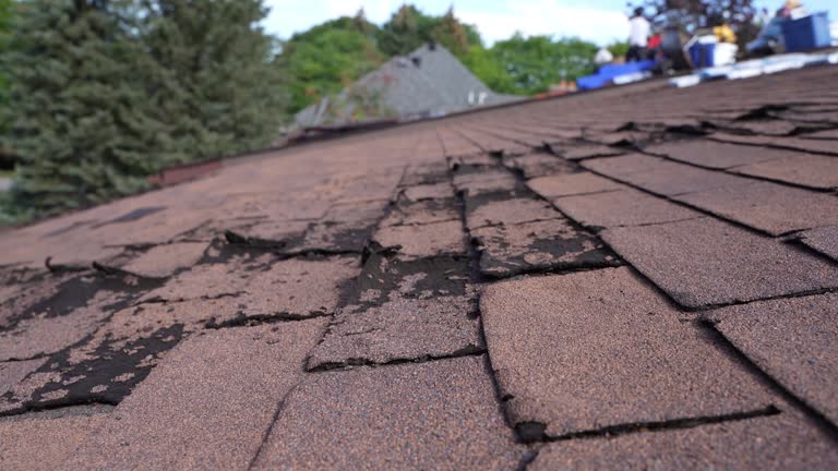 Best Metal Roofing Installation  in Lake Los Angeles, CA