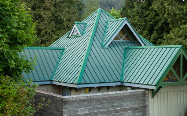 Best Roof Leak Repair  in Lake Los Angeles, CA