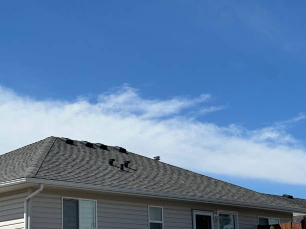 Best Emergency Roof Repair Services  in Lake Los Angeles, CA
